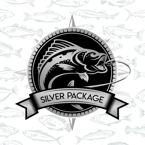 Silver Sponsor Package